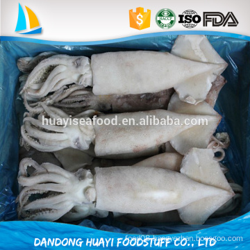 hot sale new arrival frozen best baby squid